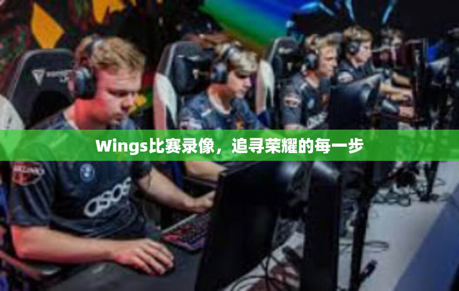 Wings比赛录像，追寻荣耀的每一步