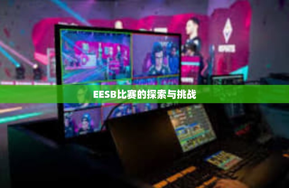 EESB比赛的探索与挑战