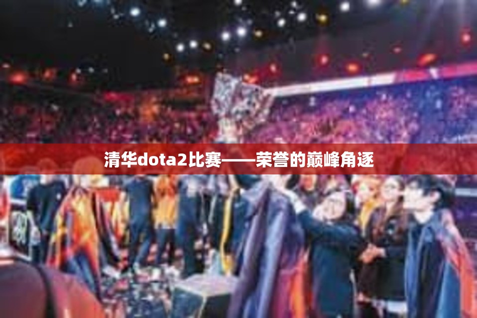 清华dota2比赛——荣誉的巅峰角逐