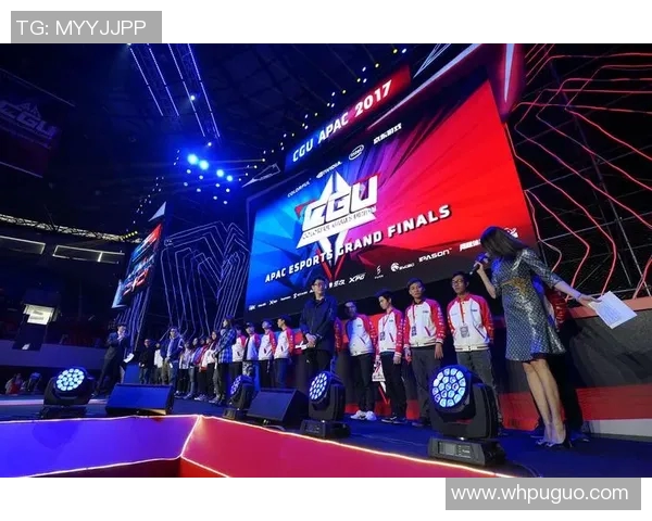 2017大型电竞比赛-2017大型电竞比赛的盛宴,激情与技术的碰撞-2017大型电竞比赛